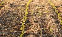 Profitable Transition to No-till