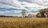 farm land with Barn in ohio