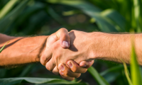 Cash Rental Agreements Cash Rental Agreements ad