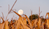 Preventing Harvest Fires harvest news