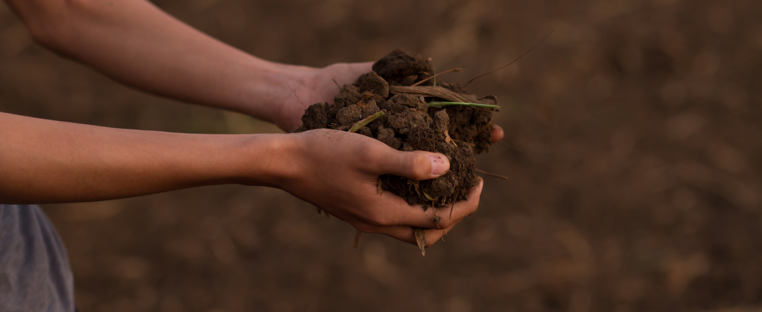 Reducing Compaction with Roots Brian Doughtery, a Understanding Ag consultant